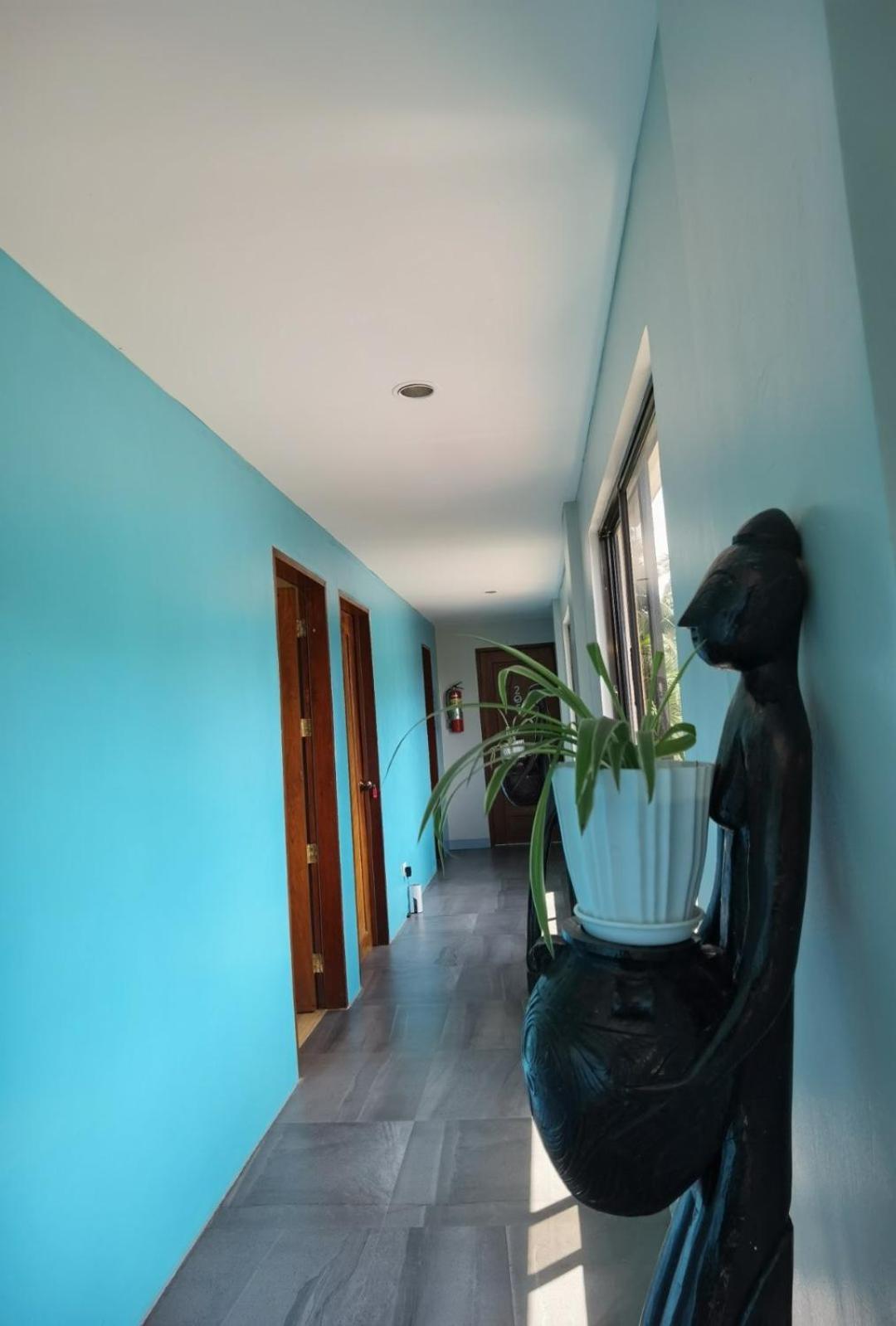 Amos Pili Tree Inn Powered By Cocotel エルニド エクステリア 写真