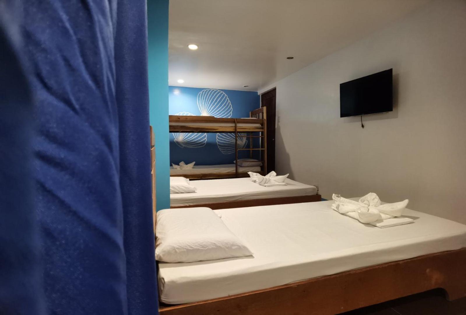 Amos Pili Tree Inn Powered By Cocotel エルニド 部屋 写真